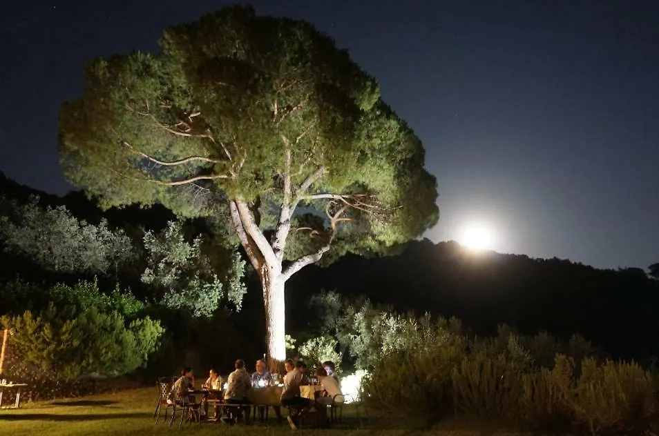 ヴィラ Bioagriturismo La Collina Casa Romeo Larciano